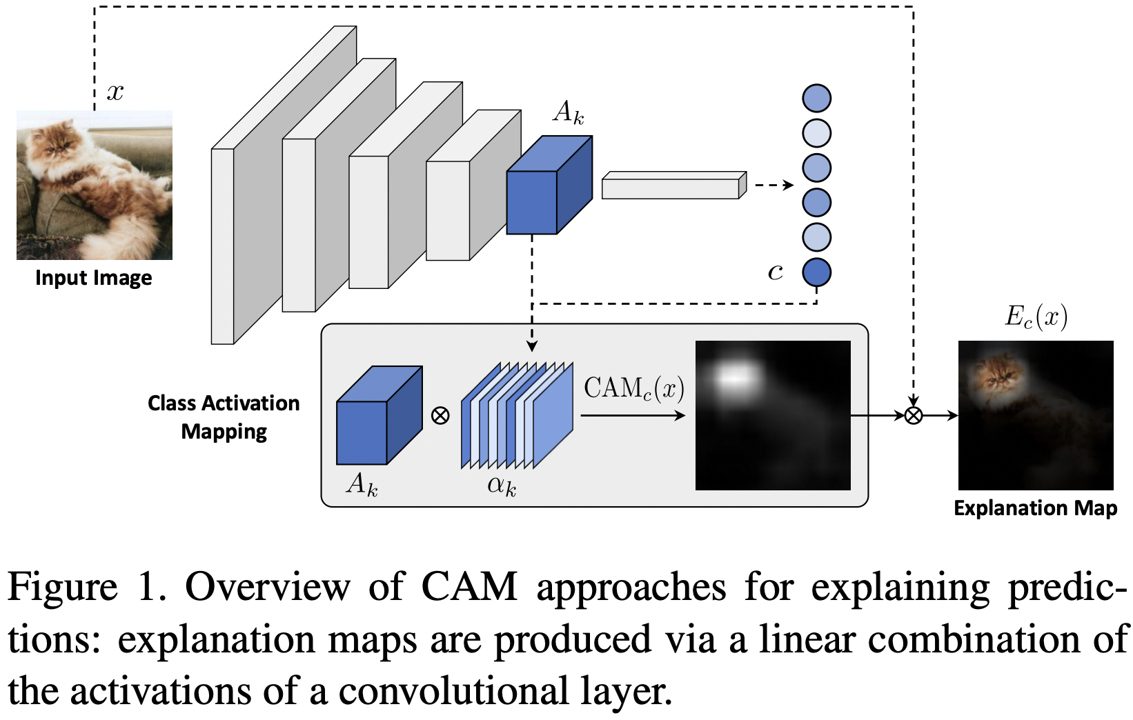 Revisiting The Evaluation of Class Activation Mapping for ...