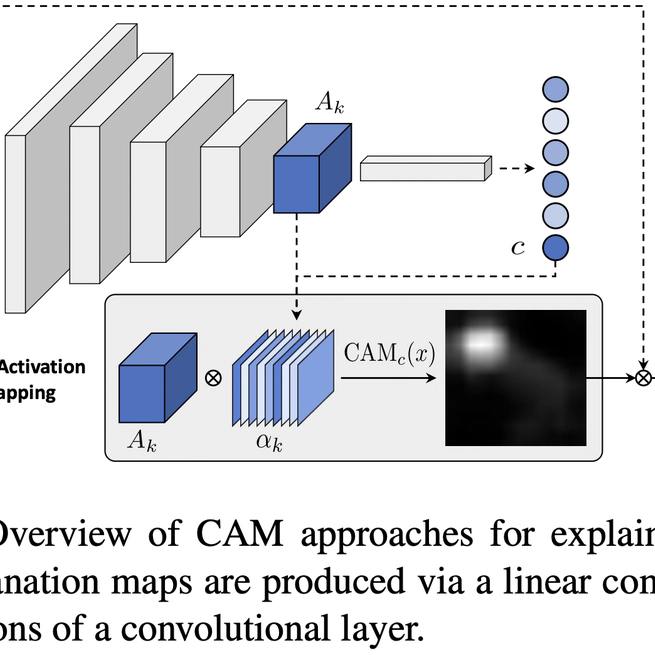 Revisiting The Evaluation of Class Activation Mapping for Explainability: A Novel Metric and Experimental Analysis