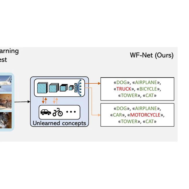 Multiclass Unlearning for Image Classification via Weight Filtering